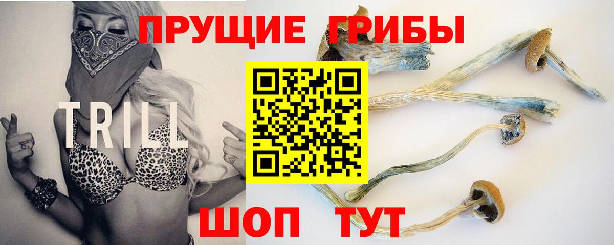 Великий Устюг  Псилоцибиновые грибы Magic Shrooms  Вход с VPN 